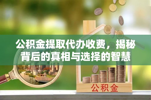 港口公积金提取代办收费，揭秘背后的真相与选择的智慧