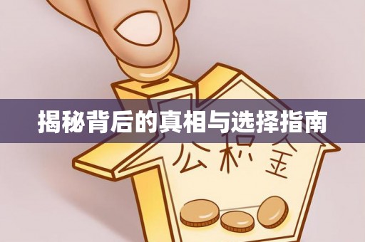 港口揭秘背后的真相与选择指南