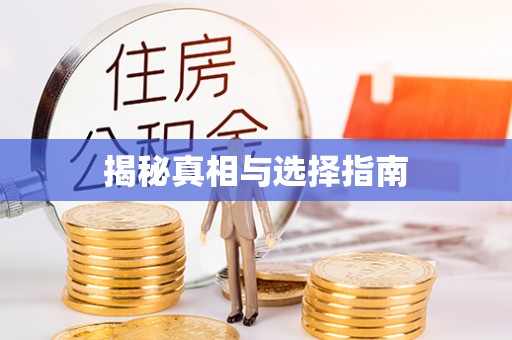 港口揭秘真相与选择指南