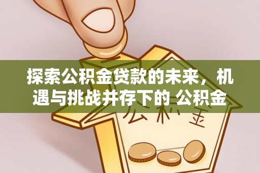 港口探索公积金贷款的未来，机遇与挑战并存下的 公积金贷款风险防控