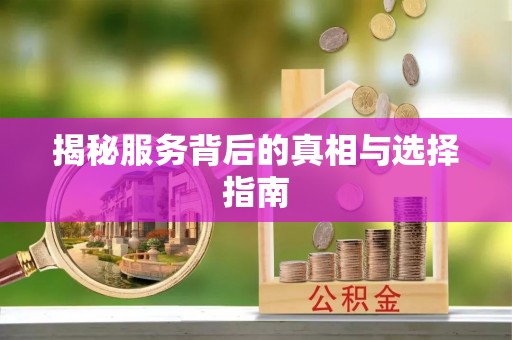 港口揭秘服务背后的真相与选择指南