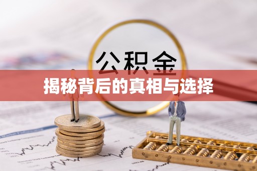 港口揭秘背后的真相与选择