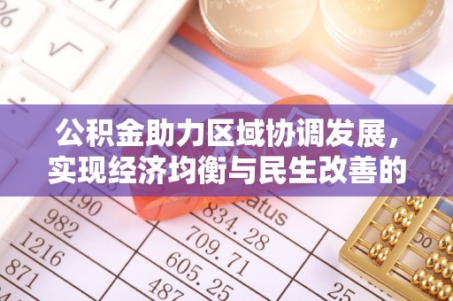 港口公积金助力区域协调发展，实现经济均衡与民生改善的新路径