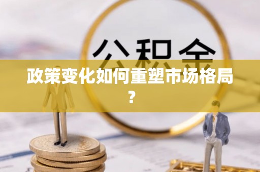 港口政策变化如何重塑市场格局？