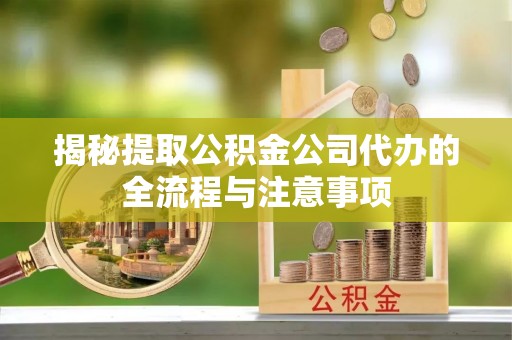 港口揭秘提取公积金公司代办的全流程与注意事项