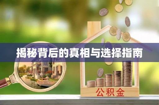 港口揭秘背后的真相与选择指南
