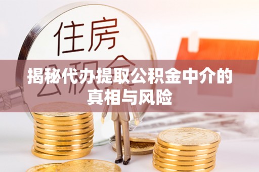 港口揭秘代办提取公积金中介的真相与风险
