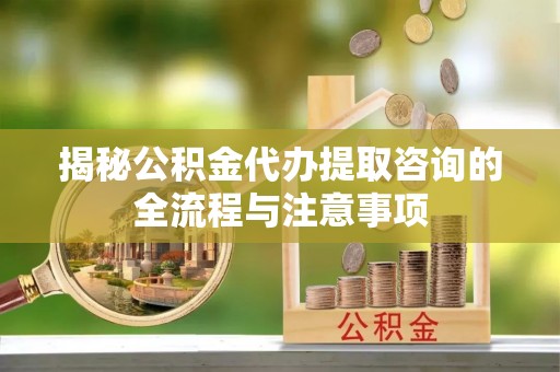 港口揭秘公积金代办提取咨询的全流程与注意事项