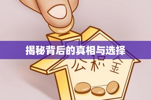 港口揭秘背后的真相与选择