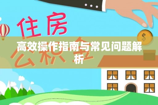 港口高效操作指南与常见问题解析