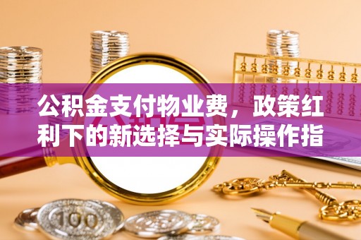 港口公积金支付物业费，政策红利下的新选择与实际操作指南