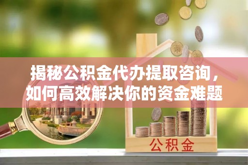 港口揭秘公积金代办提取咨询，如何高效解决你的资金难题