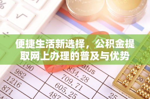 港口便捷生活新选择，公积金提取网上办理的普及与优势