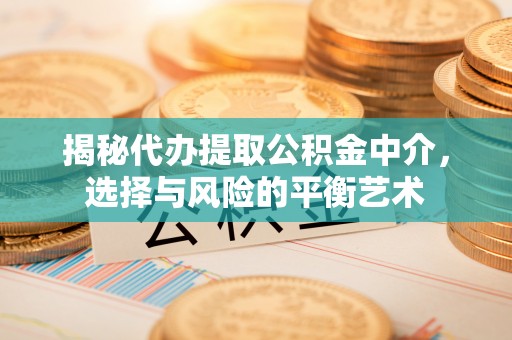 港口揭秘代办提取公积金中介，选择与风险的平衡艺术