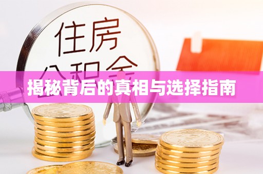 港口揭秘背后的真相与选择指南