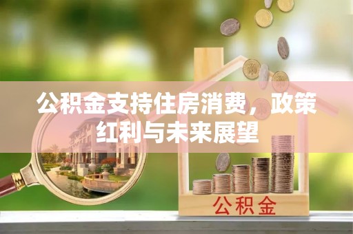 港口公积金支持住房消费，政策红利与未来展望