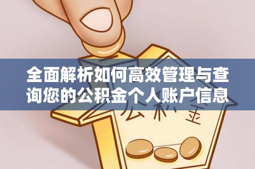 港口全面解析如何高效管理与查询您的公积金个人账户信息