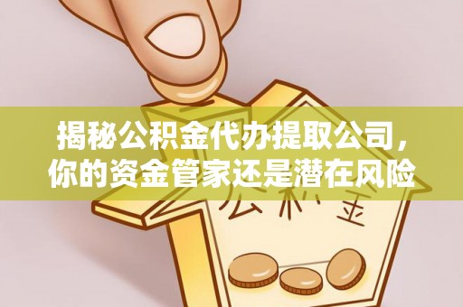 港口揭秘公积金代办提取公司，你的资金管家还是潜在风险？