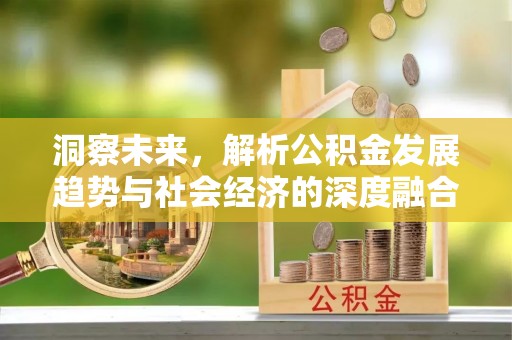 港口洞察未来，解析公积金发展趋势与社会经济的深度融合