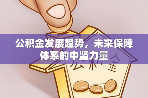 港口公积金发展趋势，未来保障体系的中坚力量