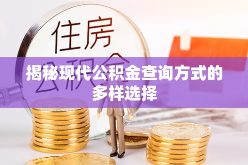 港口揭秘现代公积金查询方式的多样选择