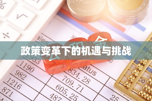 港口政策变革下的机遇与挑战