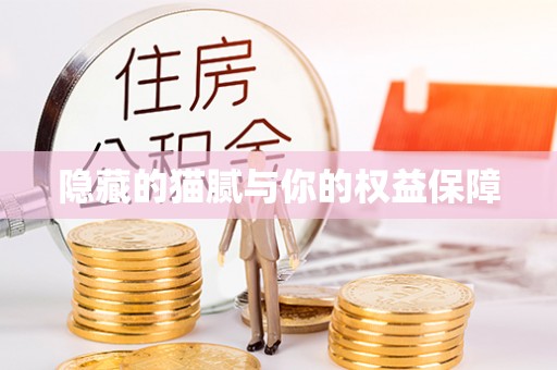港口隐藏的猫腻与你的权益保障