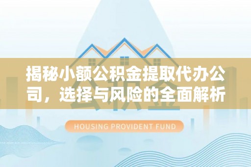 港口揭秘小额公积金提取代办公司，选择与风险的全面解析