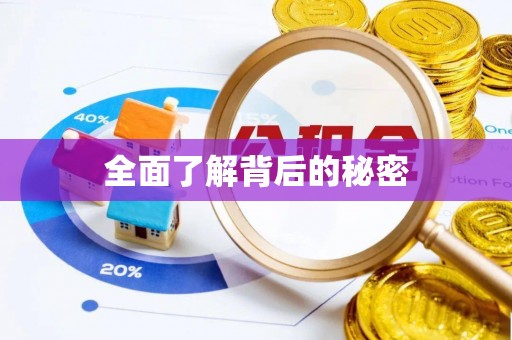 港口全面了解背后的秘密