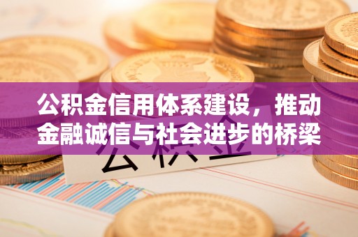 港口公积金信用体系建设，推动金融诚信与社会进步的桥梁