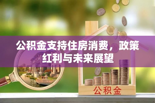 港口公积金支持住房消费，政策红利与未来展望