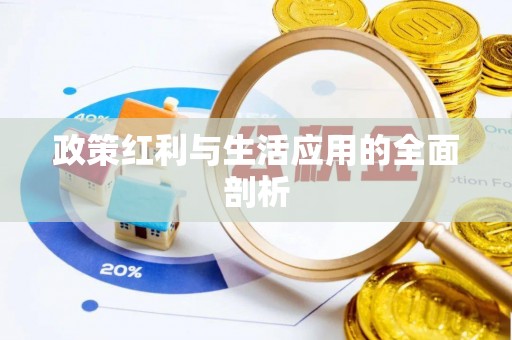 港口政策红利与生活应用的全面剖析