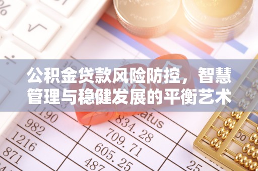 港口公积金贷款风险防控，智慧管理与稳健发展的平衡艺术