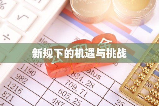 港口新规下的机遇与挑战
