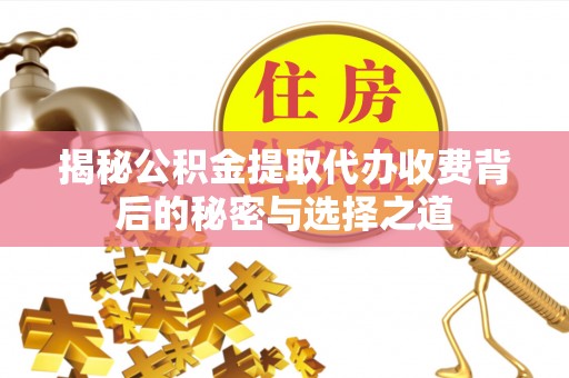港口揭秘公积金提取代办收费背后的秘密与选择之道