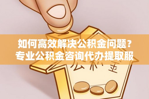 港口如何高效解决公积金问题？专业公积金咨询代办提取服务来帮你
