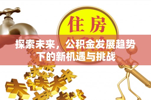 港口探索未来，公积金发展趋势下的新机遇与挑战