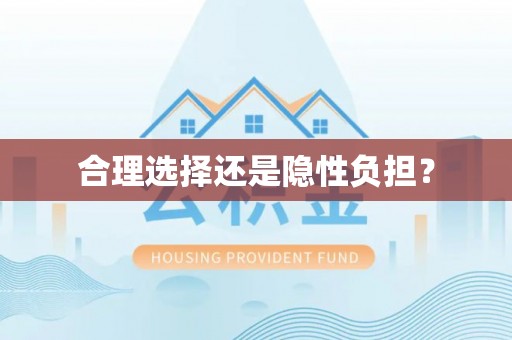 港口合理选择还是隐性负担？