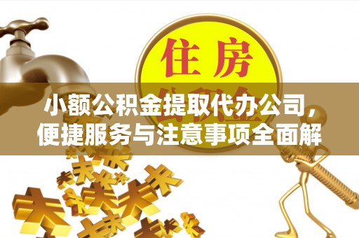 港口小额公积金提取代办公司，便捷服务与注意事项全面解析