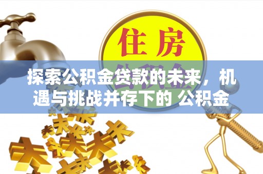 港口探索公积金贷款的未来，机遇与挑战并存下的 公积金贷款风险防控