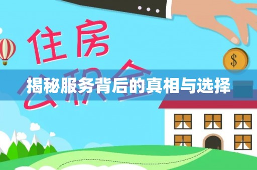 港口揭秘服务背后的真相与选择