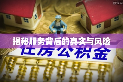 港口揭秘服务背后的真实与风险