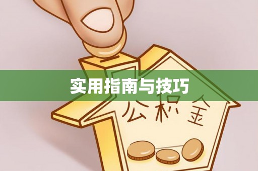 港口实用指南与技巧
