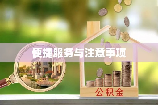 港口便捷服务与注意事项