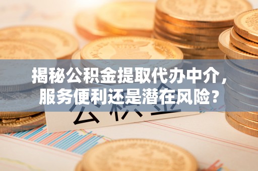 港口揭秘公积金提取代办中介，服务便利还是潜在风险？