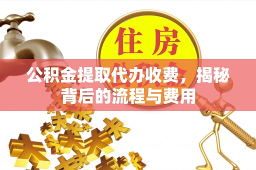港口公积金提取代办收费，揭秘背后的流程与费用