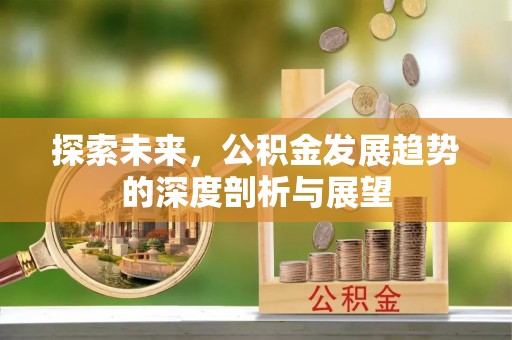 港口探索未来，公积金发展趋势的深度剖析与展望