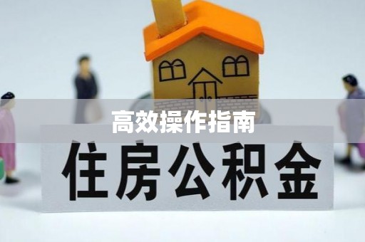 港口高效操作指南