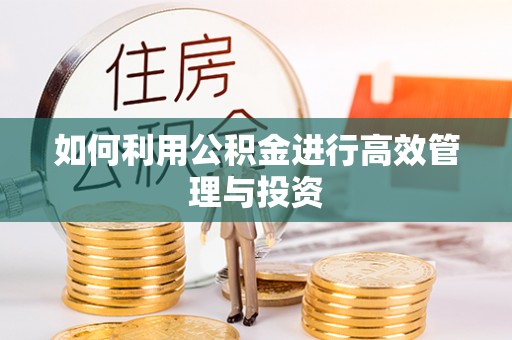 港口如何利用公积金进行高效管理与投资