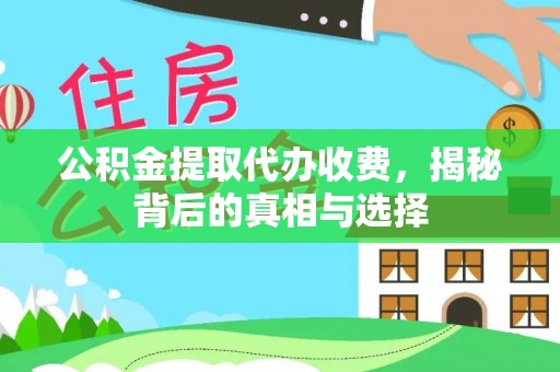 港口公积金提取代办收费，揭秘背后的真相与选择